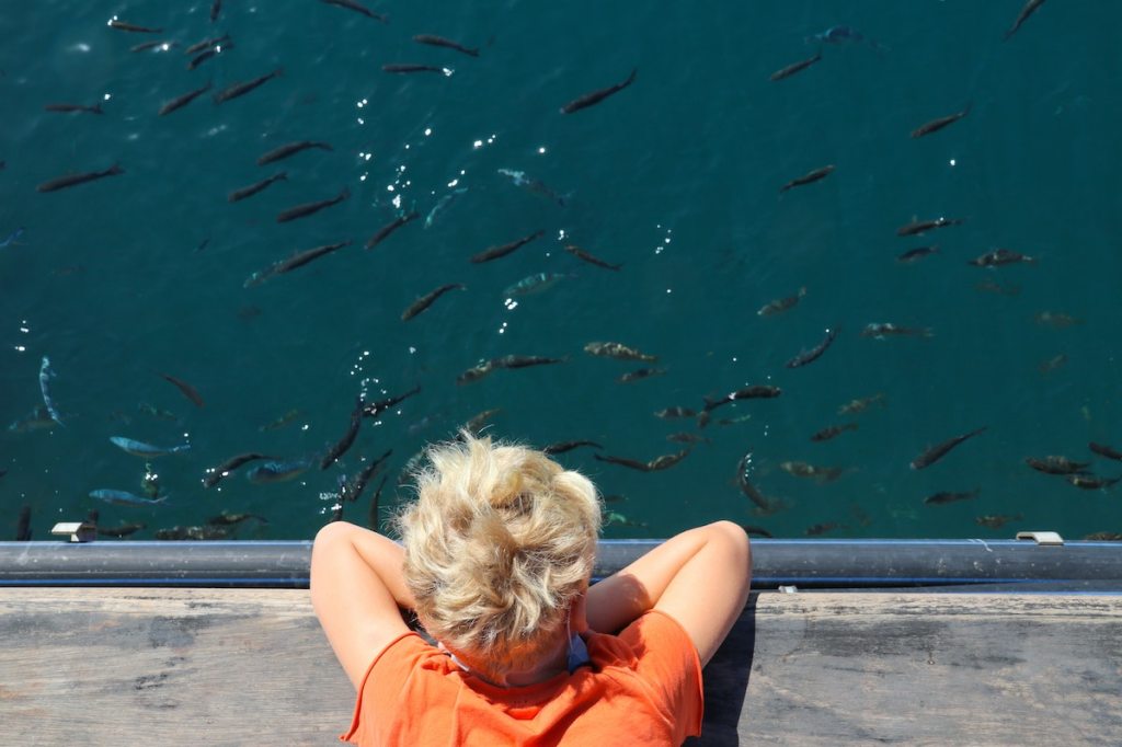 5 Ways a Site Benefits from a Premium Domain&nbsp;Name